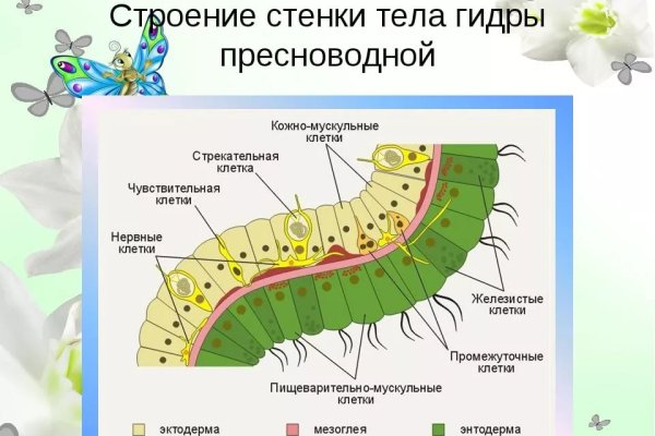 Кракен сайт официальный kraken clear com