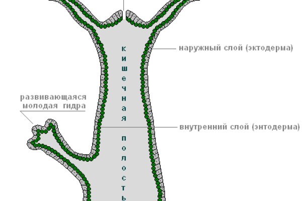 Сайт кракен 24