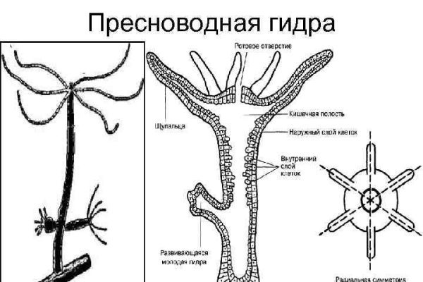 Оригинальная ссылка на магазин кракен